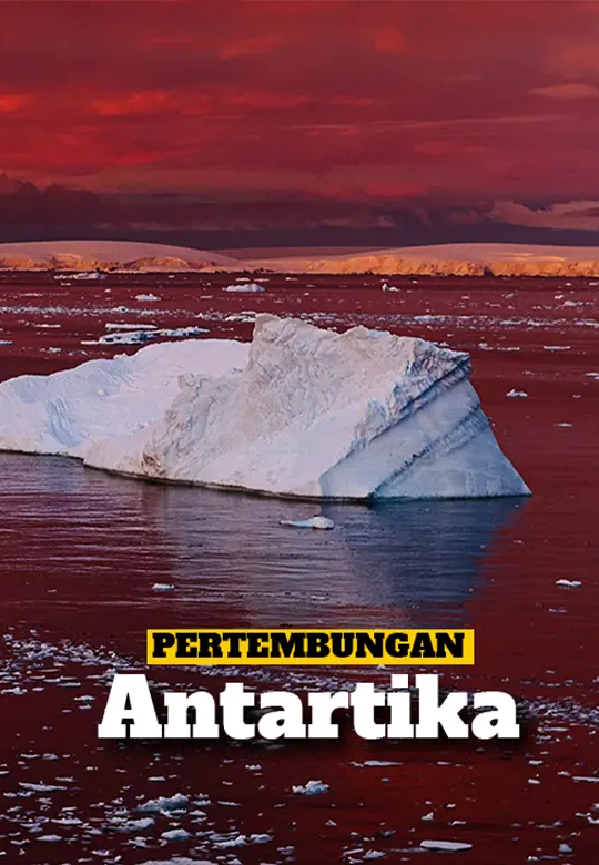 Kenapa Negara Besar Berebut Mendapatkan Antartika